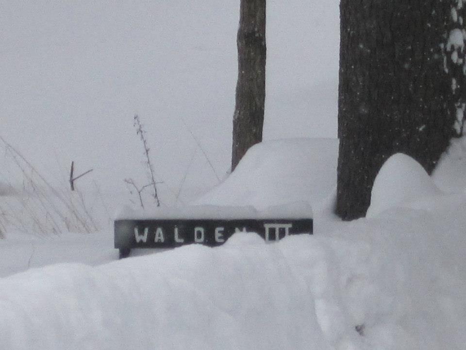 Whoopsy…I have arrived!